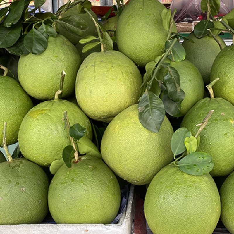 Bưởi Nghĩa Lộ